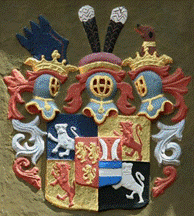 wappen_salm-neufville_large[1]